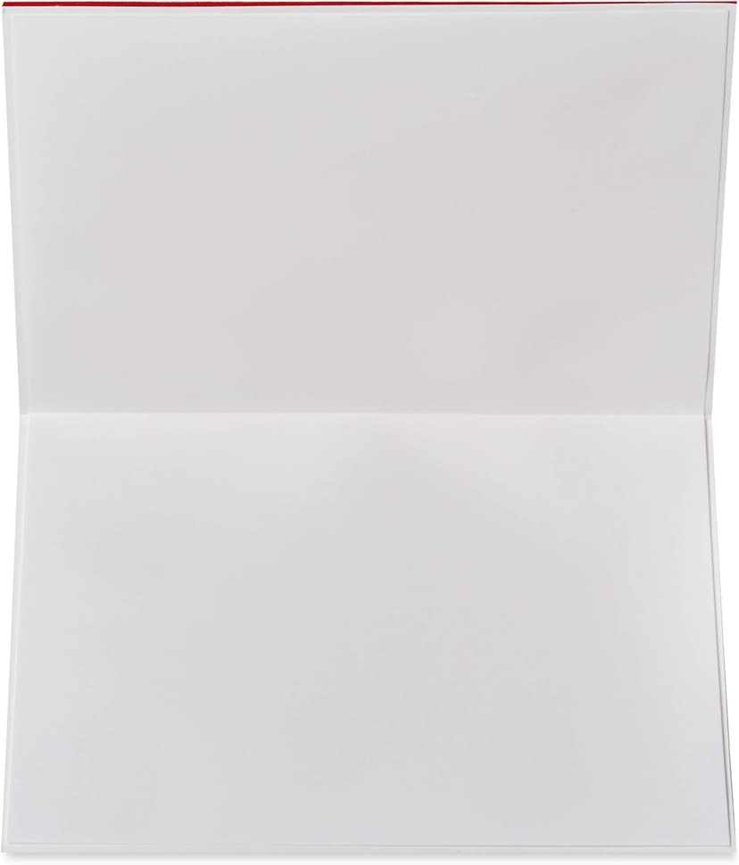 Papyrus Blank Valentines Day Card (Embroidered Heart)