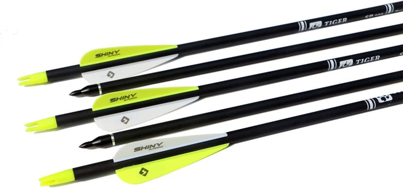 TIGER ARCHERY 30Inch Carbon Arrow Practice Hunting Arrows with Removable Tips for Compound & Recurve Bow(Pack of 12)