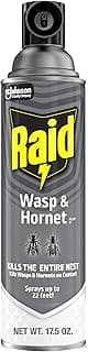 Raid Wasp & Hornet Killer Spray, Kills the Entire Nest, For Paper Wasps, Yellow Jackets, Mud Daubers, and more, 17.5 oz