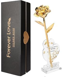 Gold Rose 24K Plated Gold Dipped Rose,Genuine One of a Kind - Forever Flower -Preserved Rose,Romantic Gift for Valentine's Day and Mothers Day, Anniversary, Birthday,Gifts for Her,Wife,Girlfriend B0GDLHD117
