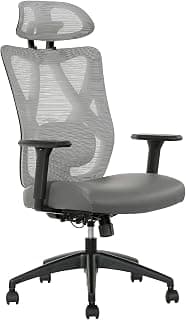 SitTrue Ridgefield Ergonomic Mesh/Vegan Leather High-Back Task