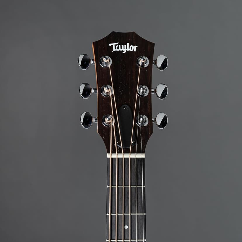 Sapele GS Mini by Taylor
