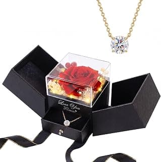 18K Gold Silver Plated Necklace as Gifts for Mom Her Girlfriend Wife Grandma on Birthday Anniversary Valentines Mothers Day Preserved Real Rose Gifts for Women with Necklace B0GZYXYMWR