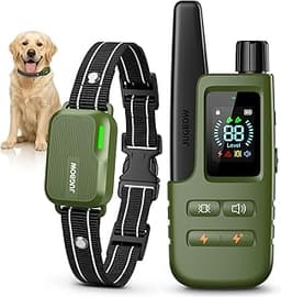 Precision and Safety: Why the Best E Collars for Hunting Dogs are the Ultimate Field Gift