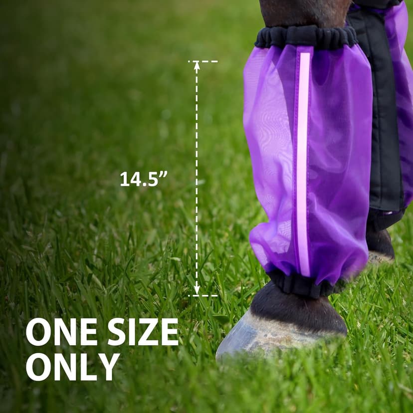 CareMaster Universal Size Horse Leggings Fine Mesh Horse Fly Boots Greatly Reduce Stomping Breathable Horse Boots Leg Wraps (Set of 4) Purple