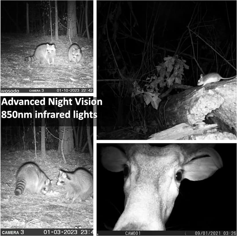 2 Pack Trail Cameras with Night Vision Motion Activated Waterproof,30MP Game Camera,1080P HD Trail Cam with SD Card for Wildlife Monitoring,Outdoor Scouting & Security