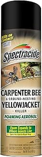 Spectracide Carpenter Bee And Ground-Nesting Yellowjacket Killer Foaming Aerosol 16 Ounces, Expands To Where Insects Live, Yellow