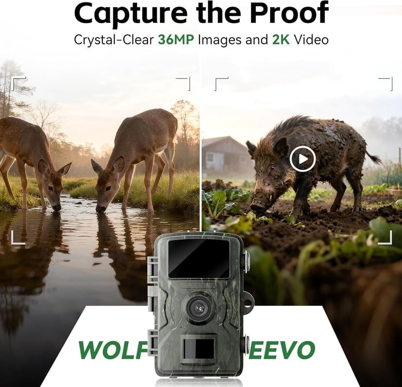 Trail Camera, 36MP 2K 0.1S Trigger Motion Activated,Game Camera with Night Vision IP66 Waterproof 2.0''LCD 90° Cam Lens for Outdoor Scouting Wildlife Monitoring Home Security, Gifts for Men