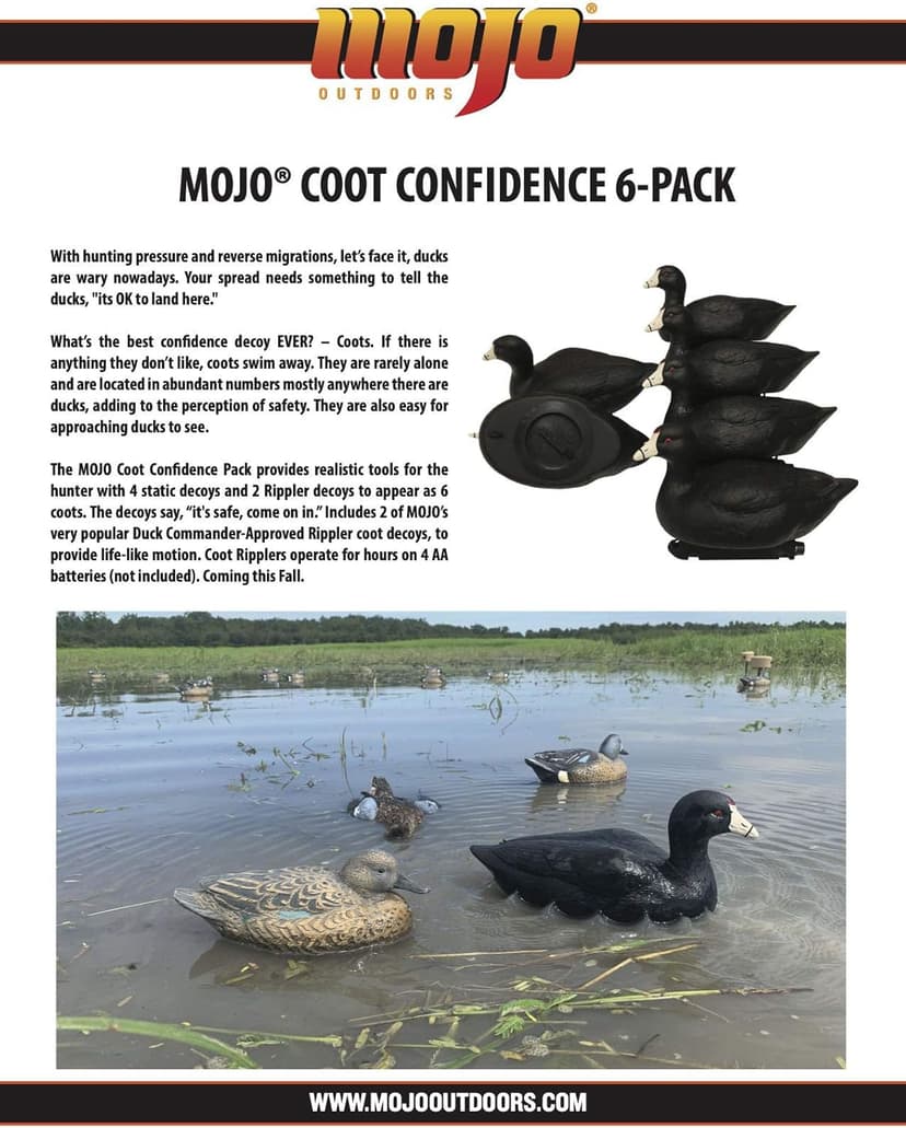 MOJO Outdoors Coot Confidence Decoys for Duck Hunting, Increases Realism and Entices Ducks to Land, Pack of 6