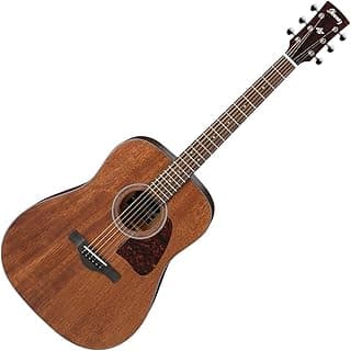 Ibanez Artwood Dreadnought Acoustic Guitar-Open Pore Natural