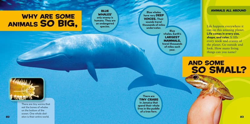 National Geographic Little Kids First Big Book of Why: Questions and Answers About the World for Curious Kids 1426307934
