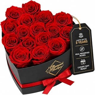 16 Flower Forever Heart Shape Box - Preserved Roses Gift for Her, Preserved Flowers, Red