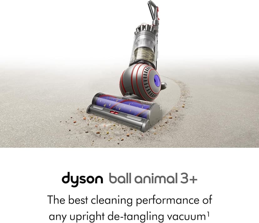 Dyson Ball Animal 3+ (Renewed Premium)