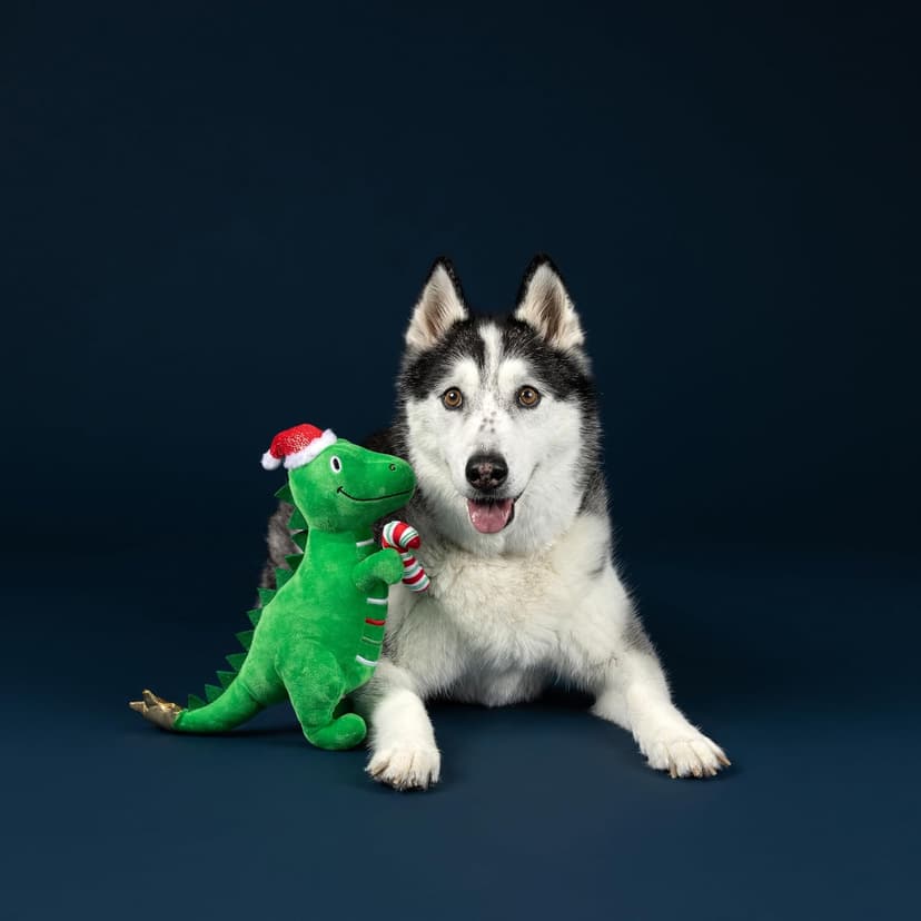 Fringe Studio Pet Toy, REX-MAS is HERE! Green Rex Plush Dog Toy, PetShop Collection (314629) B0FQK351MN