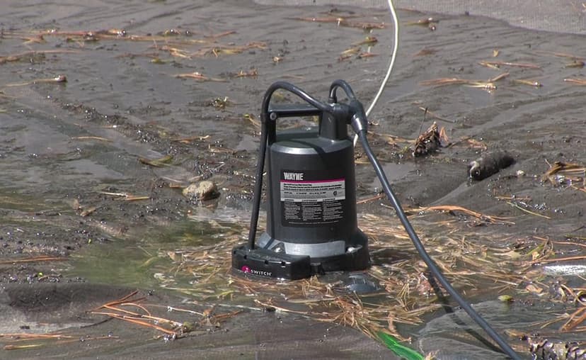 WAYNE WAPC250-1/4 HP Reinforced Thermoplastic Pool Cover Pump - Up to 3,000 Gallons Per Hour - Automatic On/Off Water Removal Pool Cover Pump