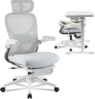 FLEXISPOT Foldex Ergonomic Office Chair, Folding Chair for Small Spaces with Lumbar Support, Flip-up Armrests, 3D Headrest, Desk Chairs with Footrest for Work,Video Game (Foam Seat, Grey)