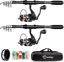 Ehowdin Fishing Pole Kit, Carbon Fiber Telescopic Fishing Rod and Reel Combo with Spinning Reel, Line, Bionic Bait, Hooks and Carrier Bag for Adult Teens Beginners