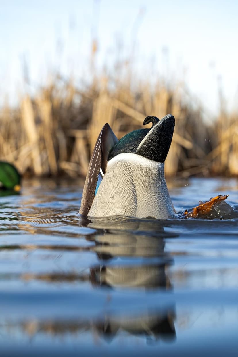 Avian-X Power Butt Kicker Motion Decoy
