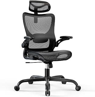 Marsail Ergonomic Mesh Office Chair High Back Home Office Desk Chair with Adaptive Lumbar Support, 2D Headrest, 3D Flip-Up Armrests, Height Adjustable and Rocking Tilt for Home Office and Gaming