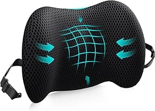 Lumbar Support Pillow for Office Chair, Car Lumbar Pillow Lower Back Pain Relief, Memory Foam Back Cushion with 4D Mesh Cover and Adjustable Straps, Ergonomic Chair Back Pillow for Car,Bed, Gaming