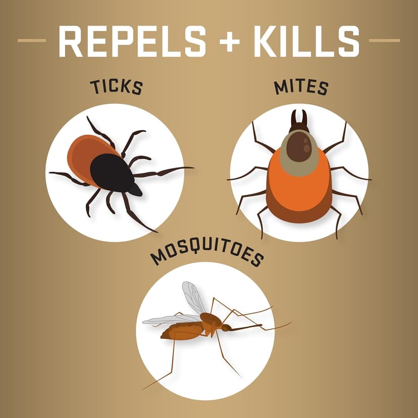 Repel Permethrin Clothing & Gear Insect Repellent, Use on Outdoor Gear, Tents and Sleeping Bags, Repels Mosquitoes, Ticks, Mites, (Aerosol Spray) 6.5 fl Ounce