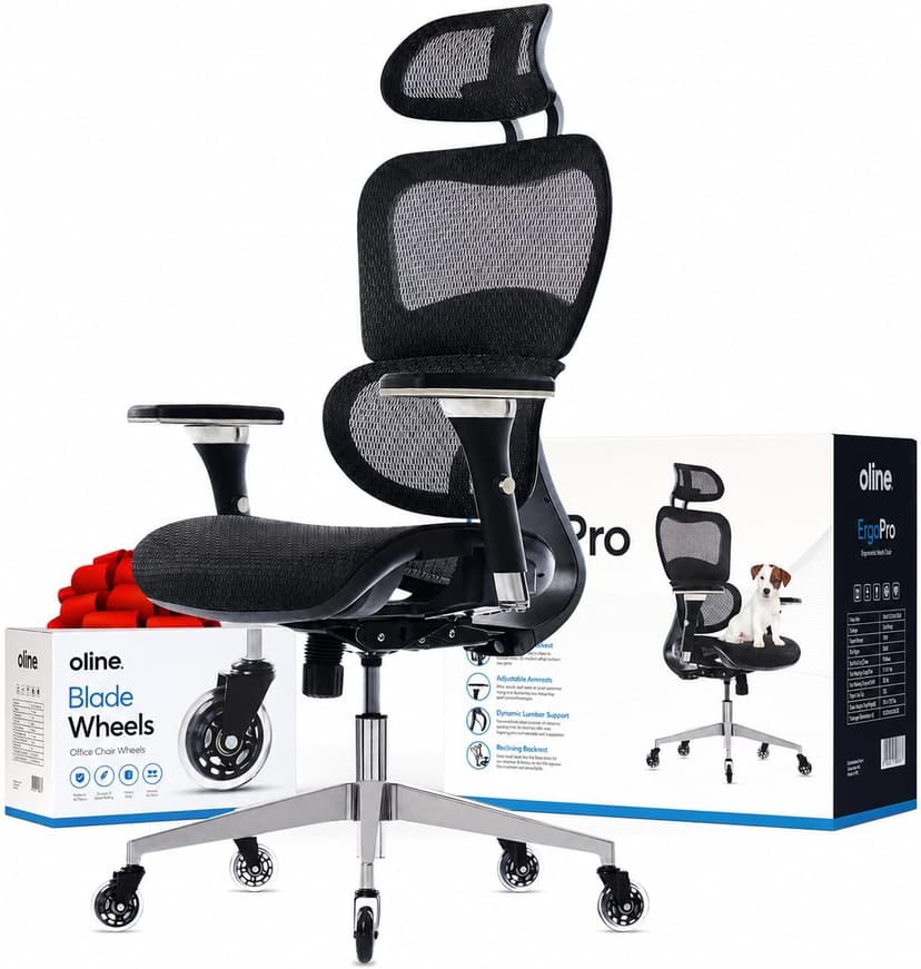 Oline ErgoPro Ergonomic Office Chair, Rolling Desk Chair with 4D Adjustable Armrest, 3D Lumbar Support, Blade Wheels, Mesh Computer Gaming Executive Swivel Chairs Chair (Black)