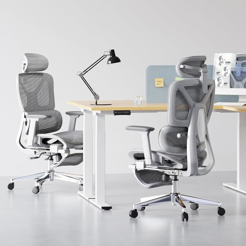 FLEXISPOT ErgoX Premium Ergonomic Office Chair with Footrest- Adjustable 3D Armrests, Dynamic Lumbar Support, Recline & Tilt Function, Mesh Seat, for Home & Office Use,Light Grey