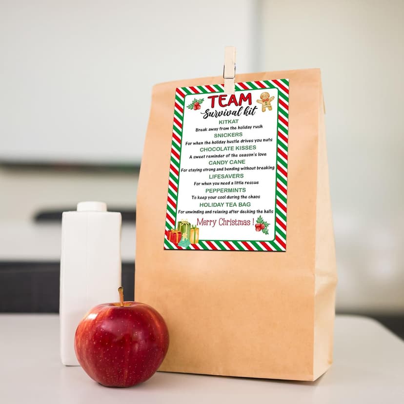 40 Pcs Team Survival Kit Gift Tag, Christmas Staff Appreciation Tags for Gift Bags, Welcome to the Team Gifts for Volunteers Employees - KA06 B0FJ2B58B3