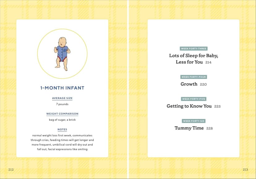 We're Pregnant! The First Time Dad's Pregnancy Handbook