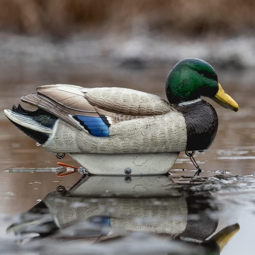 Mallard Duck Decoys by Heyday – Ultra-Light 100% HydroFoam | Durable, Realistic Design | 6 Pack of Duck Hunting Decoys