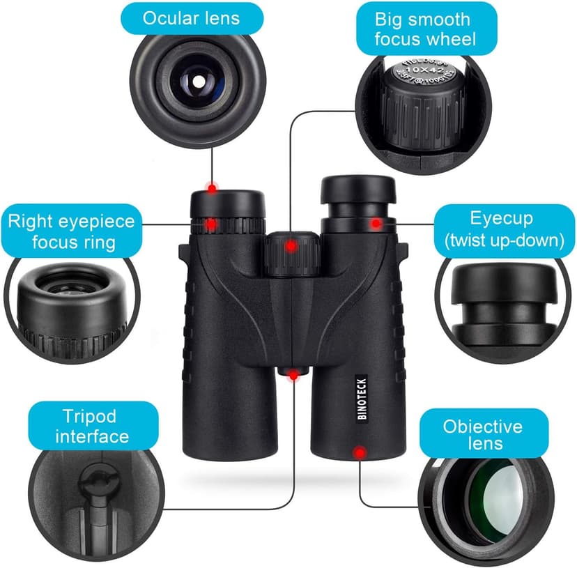 10x42 Binoculars for Adults - Professional HD Roof BAK4 Prism Lens Binoculars for Bird Watching, Hunting, Travel, Sports, Cruise, with Carrying Bag (1.1Lbs)
