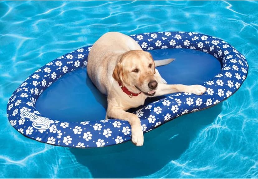 SwimWays Paddle Paws Spring Float Dog Raft, Large (65 lbs. and Up), Blue
