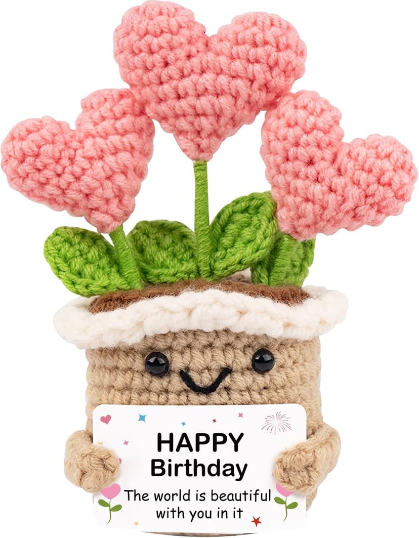 Crochet Birthday Gifts for Women – Inspirational Heart Planter Handmade Happy Birthday Gift for Women,Man,Mom, Sister, Best Friend, Coworker – Unique Gift Ideas for Her, Him, Birthday Decorations B0GWJBYTBJ