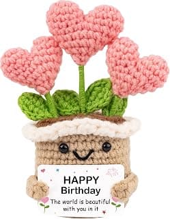 Crochet Birthday Gifts for Women – Inspirational Heart Planter Handmade Happy Birthday Gift for Women,Man,Mom, Sister, Best Friend, Coworker – Unique Gift Ideas for Her, Him, Birthday Decorations B0GWJBYTBJ