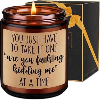 Christmas, Funny Birthday Gifts for Coworkers, Best Friend, Employee, Boss, Female, Male, Woman, Cool Sarcastic Work Ideas LEADO Candles, Boss Lady, Coworker Gifts for Women, Men - Bosses Day Gifts B08SPYC6RX