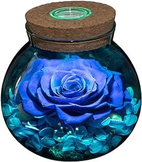 Preserved Real Roses with Colorful Mood Light Wishing Bottle, Eternal Rose，Never Withered Flowers, Table Decor,Christmas Anniversary Valentine's, Blue 4.3inch, 1pcs B07DT2GBT2