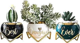 Daughter Gifts from Mom, Birthday Gift for Daughter, Mother Daughter Gifts, Happy Birthday Daughter, Best Daughter Ever Gift, Daughter In Law Gifts, Birthday Gifts for Daughter Adult, 3 Succulent Pots