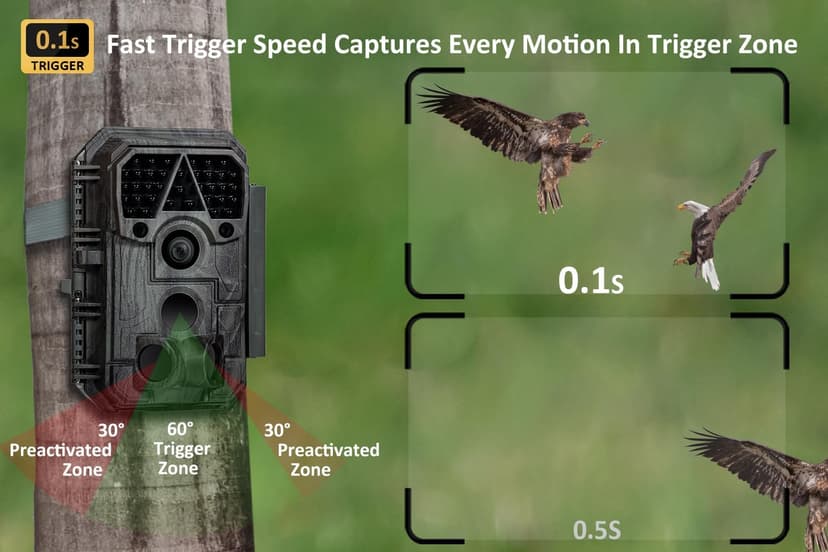 P70 (Non-Cellular,Non-WiFi) Trail Camera, 64MP 1296p, Game Cameras with No-Glow IR Night Vision, Motion Activated, Waterproof for Wildlife Deer Cams, Hunting
