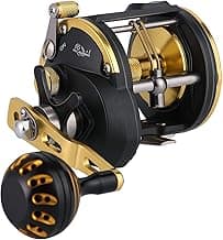 Sougayilang Trolling Reel Saltwater Level Wind Reels, Drag Reels Boat Fishing Ocean Fishing for Sea Bass Grouper