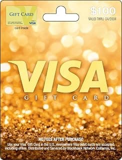 Visa Physical Gift Card $100 (plus $5.95 Purchase Fee) B01MSBQB1P