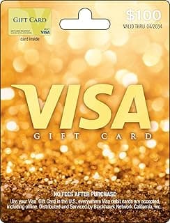 Visa Physical Gift Card $100 (plus $5.95 Purchase Fee) B01MSBQB1P