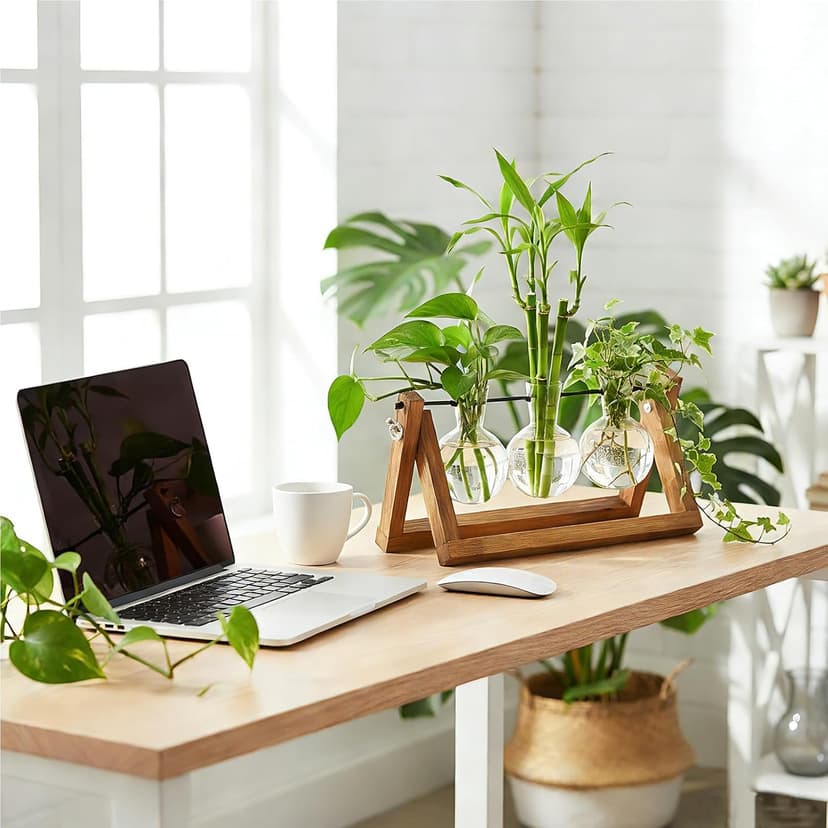 Unique Gardening Birthday Gifts for Women Plants Lovers, Home Office Garden Decor Planter - 3 Bulb Glass Vases Renmxj Plant Propagation Station, Plant Terrarium with Wooden Stand B096VDR4TM