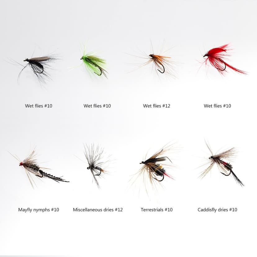 BASSDASH Fly Fishing Assorted Flies Kit, Pack of 64 pcs Including Dry and Wet Flies, Nymphs, Streamers, Terrestrials, Leeches and More, with Magnetic Fly Box