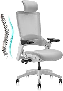 CLATINA Ergonomic High Swivel Executive Chair with Adjustable Height Head 3D Arm Rest Lumbar Support and Upholstered Back for Home Office Gray Mesh/High Back