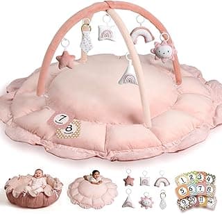 HAN-MM 5-in-1 Convertible Baby Play Gym with 6 Toys, Tummy Time Mat for Sensory Development, Baby Activity Center from Newborn to Toddler, Ball Pit, Soft Plush Pet Mat, Pink