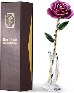 Handpicked real rose dipped in 24K gold; a one-of-a-kind keepsake for women on Valentine’s Day, Mother’s Day & anniversaries 24K Gold Dipped Real Rose, Forever Flower, Purple B0F93N2SKX