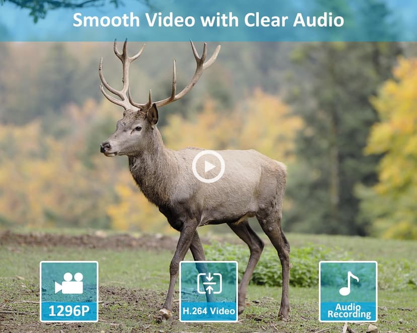 GardePro E5S Trail Camera (Non-Cellular, Non-WiFi), 64MP Photo & 1296P HD Video, 0.1s Trigger, 100ft No-Glow Night Vision, Motion Activated Wildlife Camera