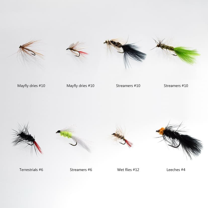 BASSDASH Fly Fishing Assorted Flies Kit, Pack of 64 pcs Including Dry and Wet Flies, Nymphs, Streamers, Terrestrials, Leeches and More, with Magnetic Fly Box