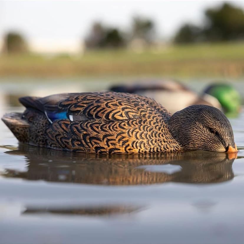 Avian-X Power Shaker Motion Decoy