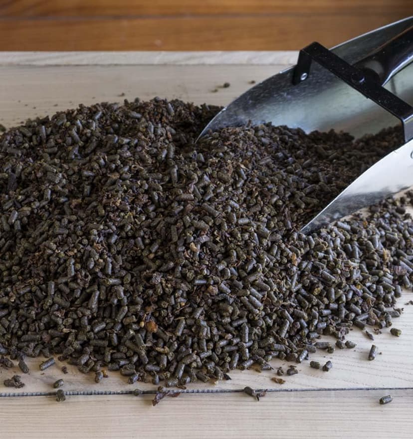 Triple Crown Senior Gold Premium Horse Feed, EquiMix Superior Nutrition, Textured Equine Senior Horse Food, Weight Gain for Mature & Performance Horses, 50 lbs